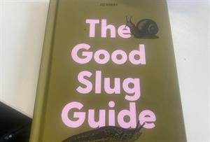 slug